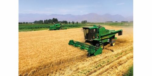 抗旱寧春四號(hào)選豐田種業(yè)年年好豐收