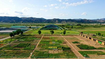 內(nèi)蒙古草種業(yè)技術(shù)創(chuàng)新中心獲批!加快向&ldquo;國(guó)家級(jí)&rdquo;目標(biāo)邁進(jìn)