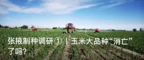 種業(yè)大事件丨廣東 四川 山西 天津等地有啥新動(dòng)作