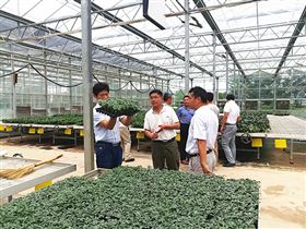 【山東】博盛種業(yè)來到安信種苗,促進友好合作