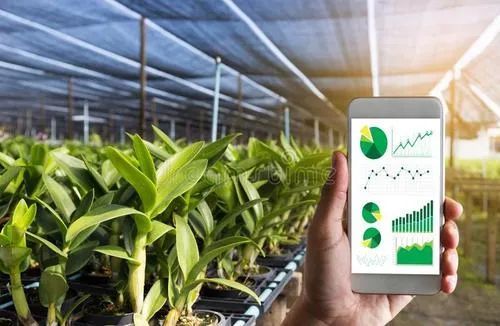 數(shù)字化種業(yè) 中國農(nóng)業(yè)發(fā)展的核心變量