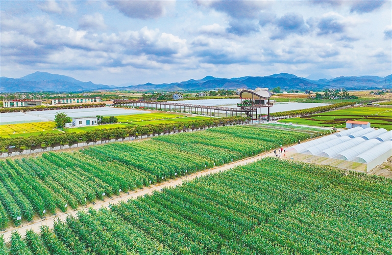 海墾集團堅持“項目為王”，多舉措推進(jìn)產(chǎn)業(yè)升級與墾地融合