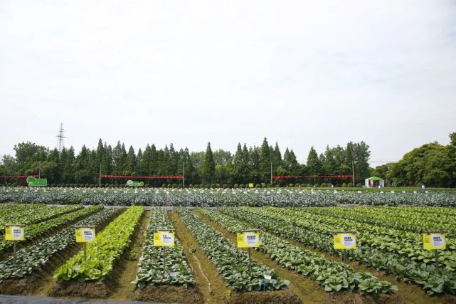 2022浙江種業博覽會明日盛大開幕，助推現代種業創新發展