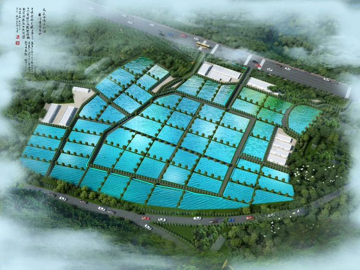 投資2.4億！水產巨頭落子九江，南?，F代水產種業迎來強勁新引擎