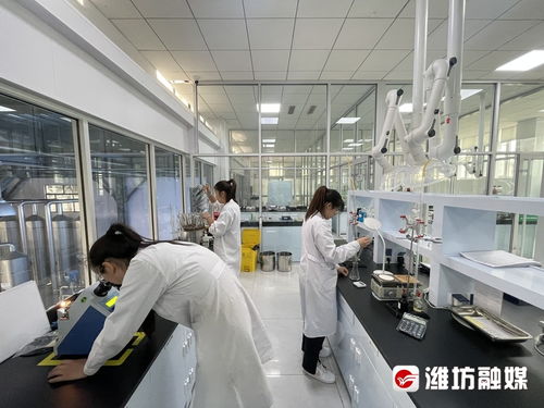 搶風(fēng)口 布賽道 濰坊諸城以技術(shù)開發(fā)為核心，加速生物制造產(chǎn)業(yè)發(fā)展