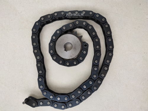 生產廠家供應304不銹鋼鏈輪 工業傳動雙排鏈輪齒輪鏈條銷售