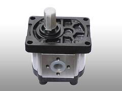 齒輪油泵廠家哪家好 高壓齒輪油泵生產,齒輪油泵廠家哪家好 高壓齒輪油泵生產生產廠家,齒輪油泵廠家哪家好 高壓齒輪油泵生產價格