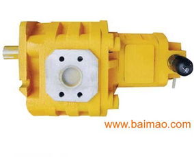 哪里專業(yè)銷售雙聯(lián)齒輪油泵 型號齊全 質(zhì)量可靠 ,哪里專業(yè)銷售雙聯(lián)齒輪油泵 型號齊全 質(zhì)量可靠 生產(chǎn)廠家,哪里專業(yè)銷售雙聯(lián)齒輪油泵 型號齊全 質(zhì)量可靠 價格